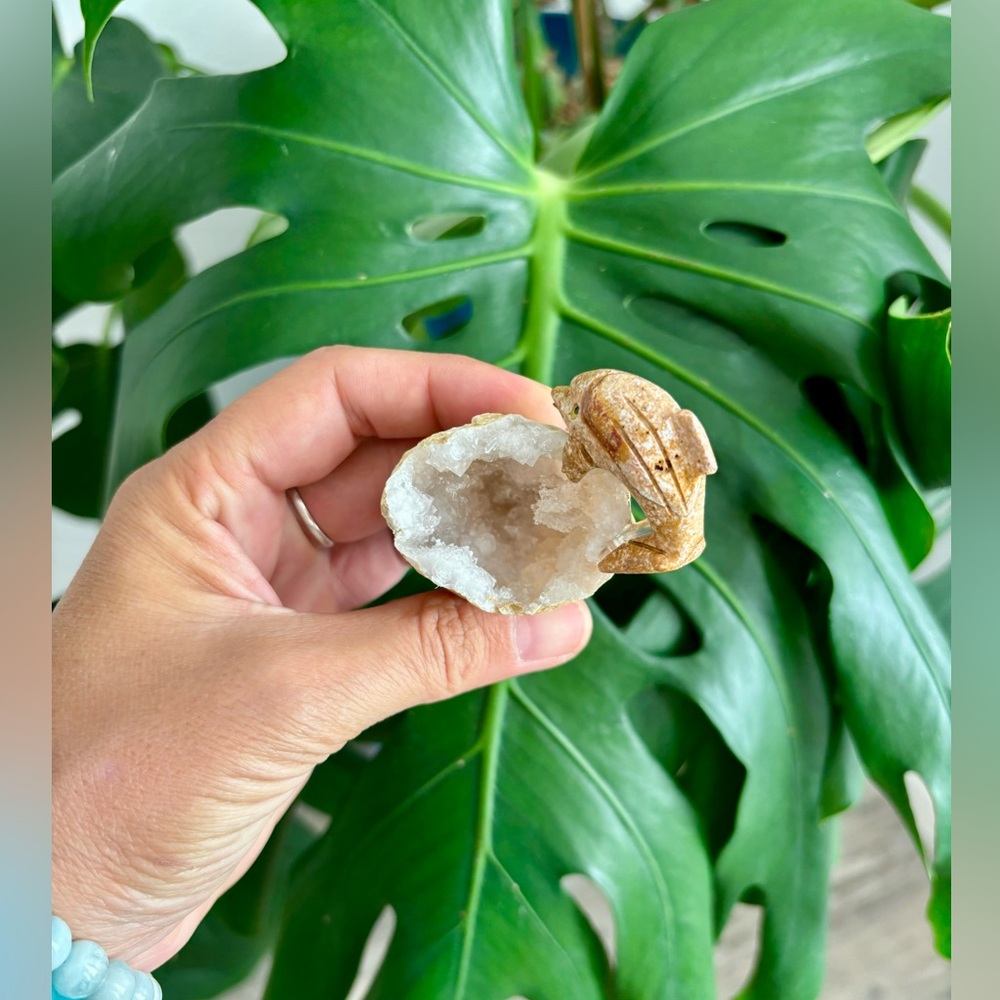 Dolphin Carving on Quartz Geode - Picture 2 of 4